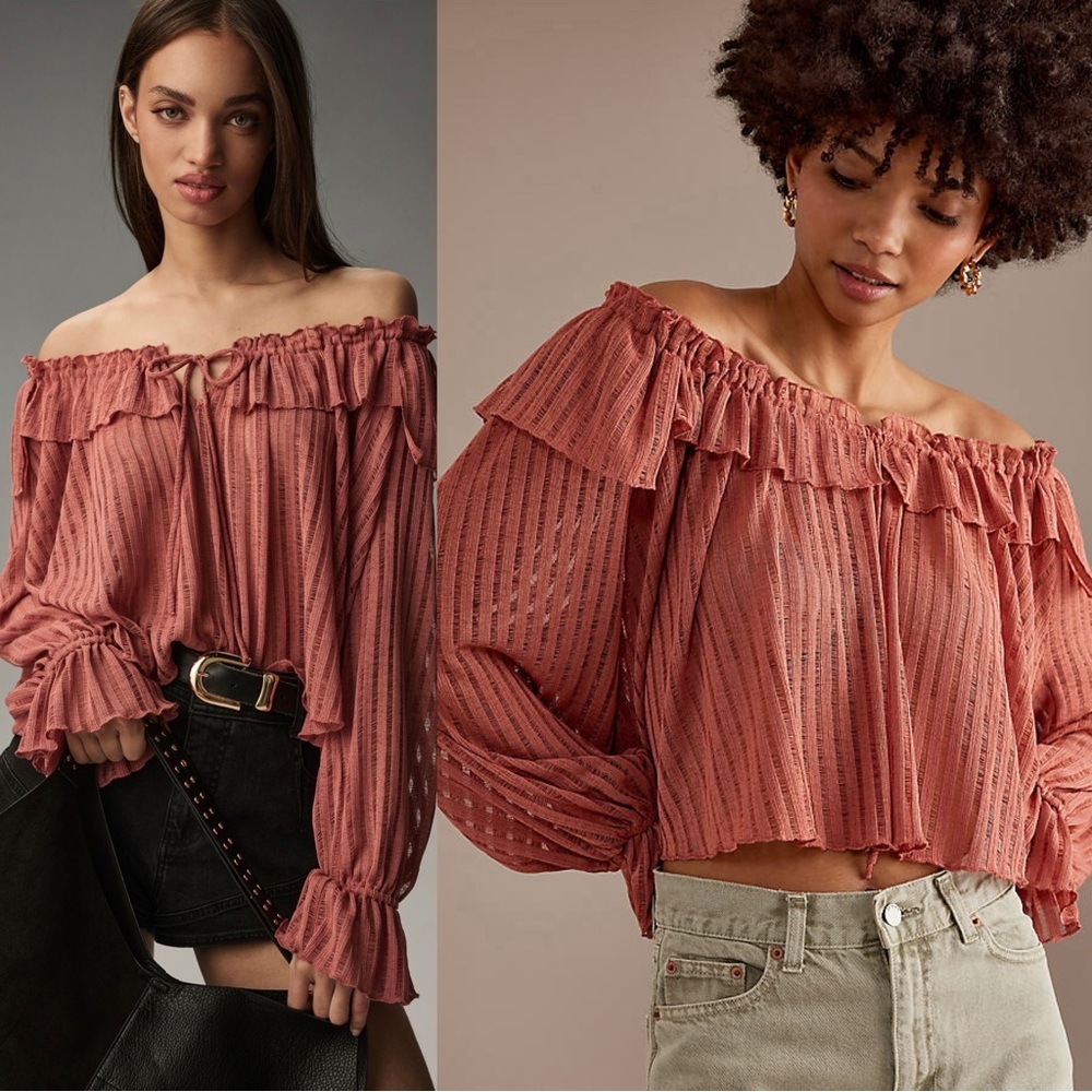 NWT Anthropologie Sheer Striped Crop Blouse Rose Long Sleeve S
